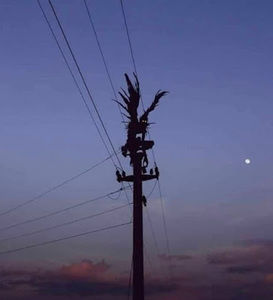 Meet your Posher, Asian